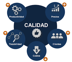 Calidad  Aplicada a la Gestión  Empresarial E-J24