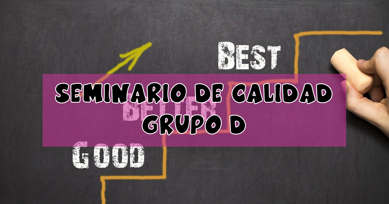 Seminario de Calidad Grupo D