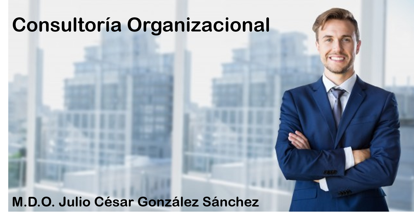 SEMINARIO DE CONSULTORÍA ORGANIZACIONAL