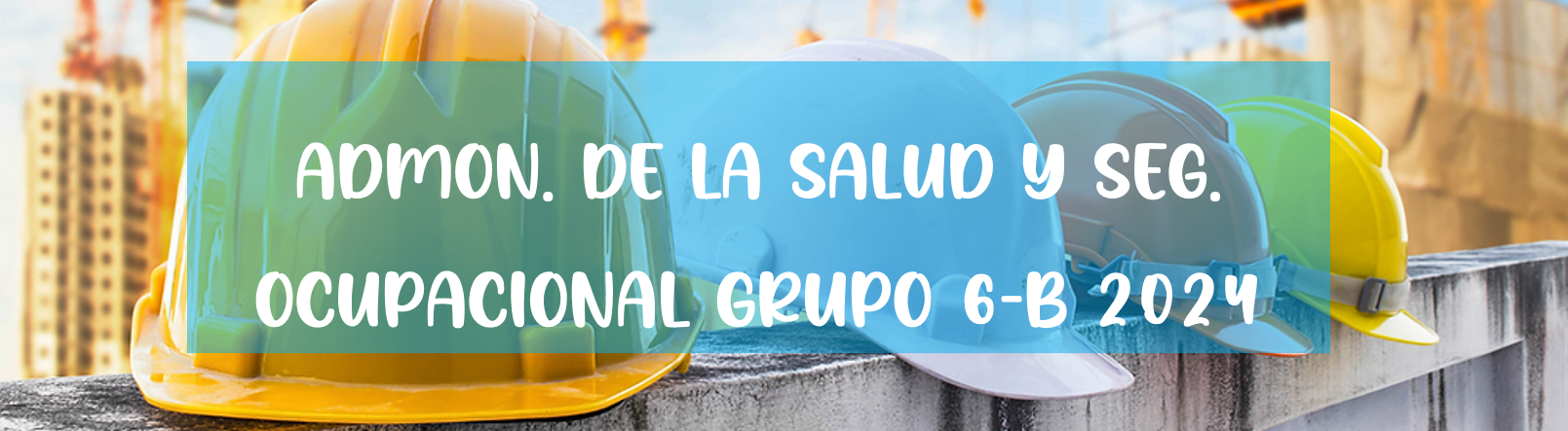 Administración de la Salud y Seg. Ocupacional Grupo 6B 2024