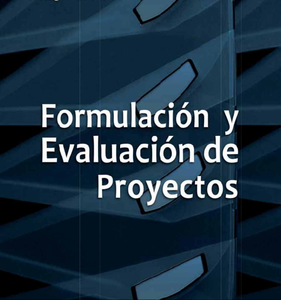 FORMULACIÓN Y EVALUACIÓN DE PROYECTOS